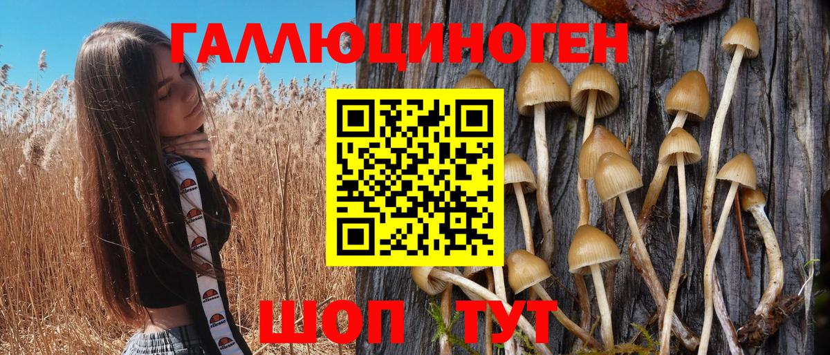 Галлюциногенные грибы Psilocybe  Вход с VPN  Трёхгорный  Галлюциногенные грибы Cubensis 